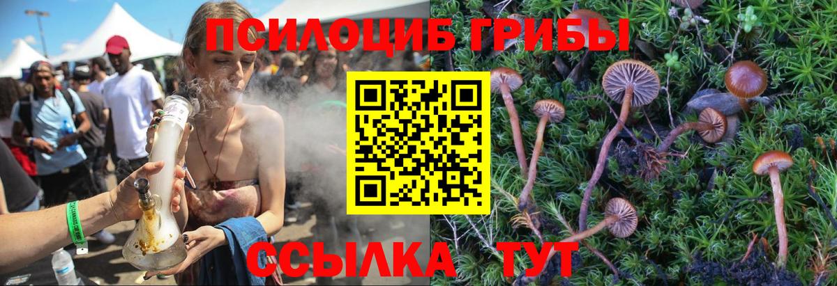 Галлюциногенные грибы Psilocybine cubensis  Вход с VPN  Балашиха 