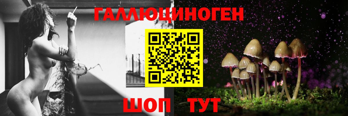 Псилоцибиновые грибы Psilocybine cubensis Балашиха